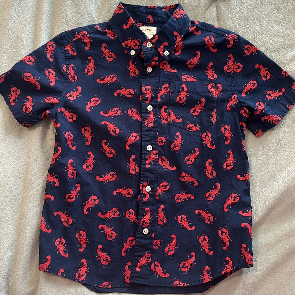 J crew crew cuts boys size small button up